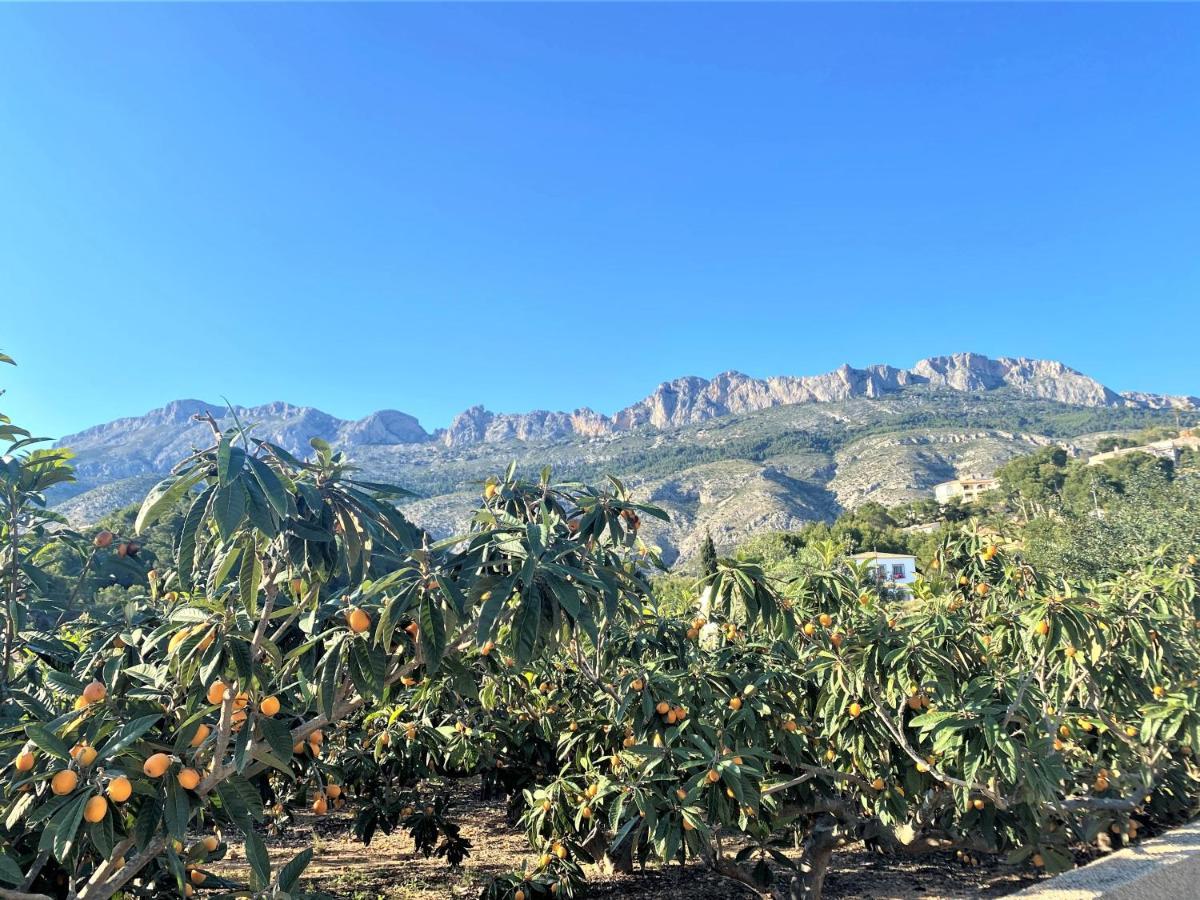 Villa Esmeralda Altea la Vieja 외부 사진