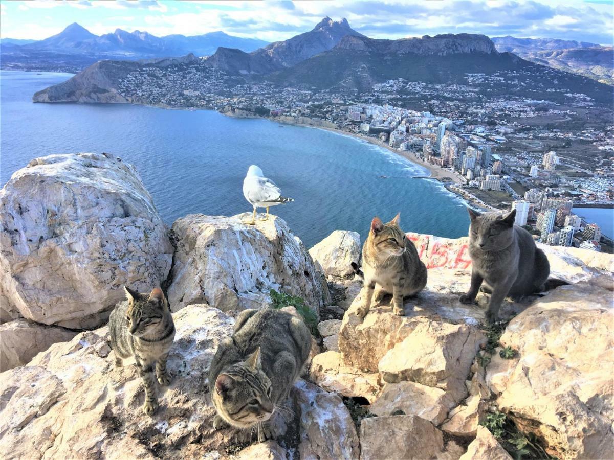 Villa Esmeralda Altea la Vieja 외부 사진